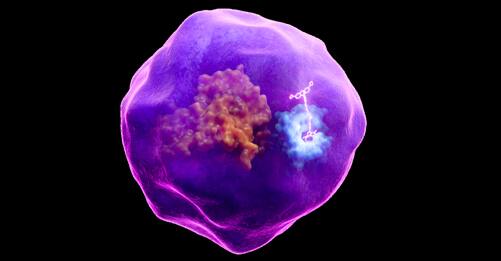 BromoCatch™ Platform