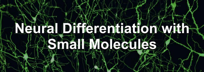 Small Molecules for Neural Induction of Stem Cells Small Molecules for Neural Induction of Stem Cells