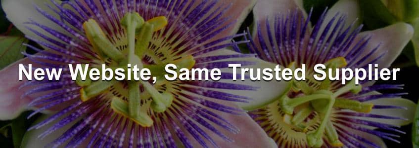 New Website, Same Trusted Supplier blog banner : New Website, Same Trusted Supplier