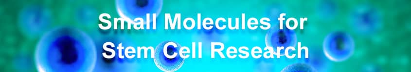 在干细胞研究中使用小分子的五个理由 用于细胞研究的小分子