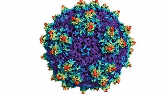 1990 Cryo-Electron Microscopy 1990 Cryo-Electron Microscopy