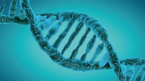 1953 DNA Structure Resolved 1953 DNA Structure Resolved