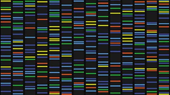 1985 DNA Profiling 1985 DNA Profiling