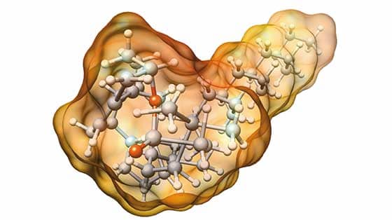1933+ X Ray Crystallography of Biological Molecules Advances 1933+ X Ray Crystallography of Biological Molecules Advances