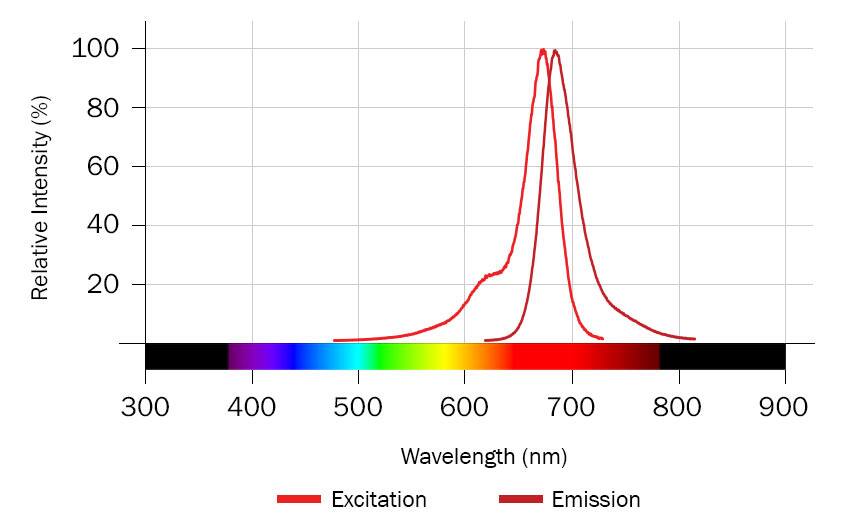 Janelia Fluor 669, SE Supplier | CAS 2127150-20-1 | JF 669, NHS ...