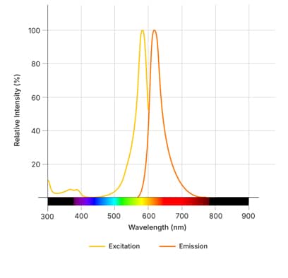 Janelia Fluor<sup>® </sup>585, Maleimide Dye Spectra