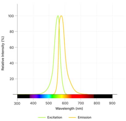 Janelia Fluor<sup>®</sup> 549, BromoCatch™ Ligand Dye Spectra