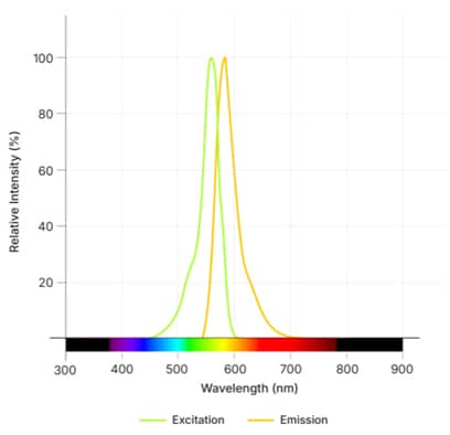 Janelia Fluor<sup>®</sup> 552, Haloalkane Dye Spectra