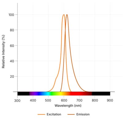 Janelia Fluor<sup>®</sup> 585, BromoCatch™ Ligand Dye Spectra