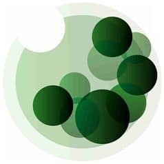 Targeted Protein Degradation Summit