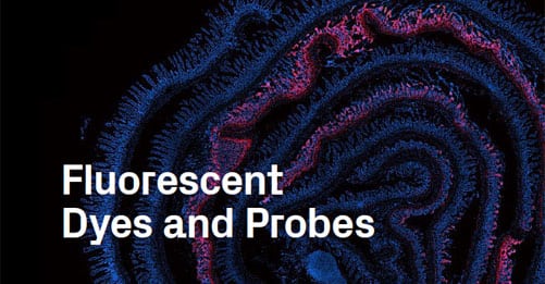 Fluorescent Dyes and Probes Product Guide front cover