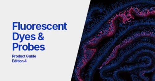 Fluorescent Dyes and Probes Product Guide front cover