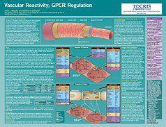 Cardiovascular Life Science Poster