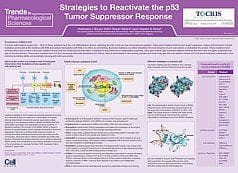 p53 Life Science Poster