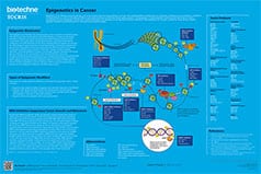 Epigenetics in Cancer Poster