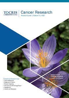 Cancer Research Product Guide