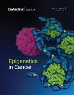 Epigenetics in Cancer Research Product Guide