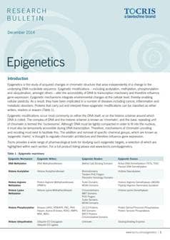 Epigenetics Research Bulletin