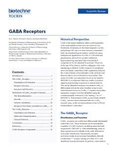 GABA Receptors Scientific Review
