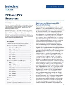 P2X and P2Y Receptors Scientific Review