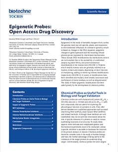 Epigenetics Scientific Review