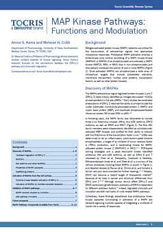 MAPK Signaling Scientific Review