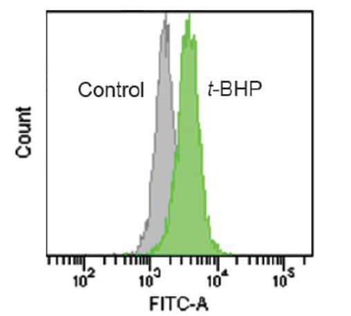 Quantification of lipid peroxide with Liperfluo