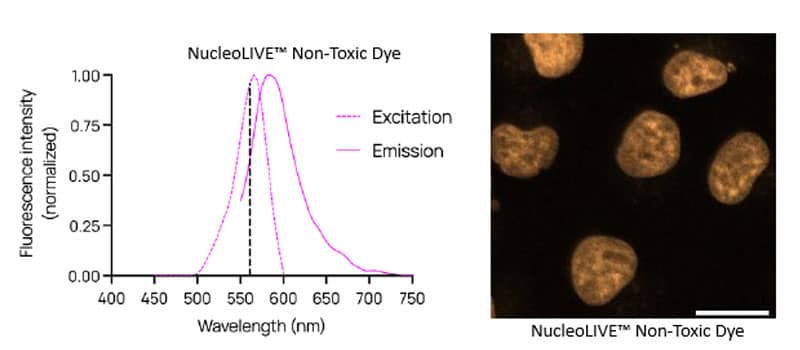 Excitation and Emission spectra of NucleoLIVE™ Non-Toxic Dye Excitation and Emission spectra of NucleoLIVE™ Non-Toxic Dye