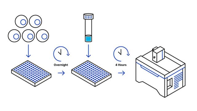 Protocol Overview Protocol overview for NucleoLIVE™ Non-Toxic Dye