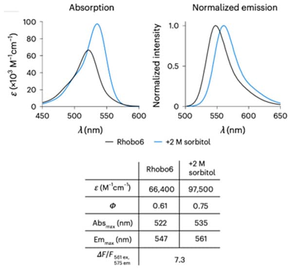 Absorption and emission spectra and photophysical properties of Rhobo6 ECM Dye Absorption and emission spectra and photophysical properties of Rhobo6 ECM Dye