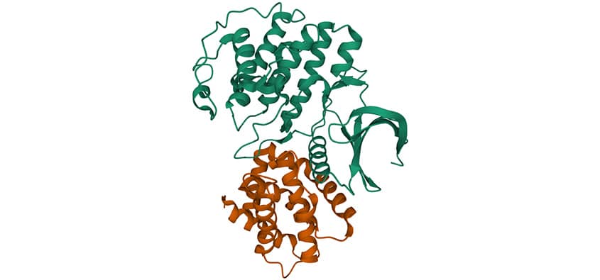 Structure of CDK5 bound to p25