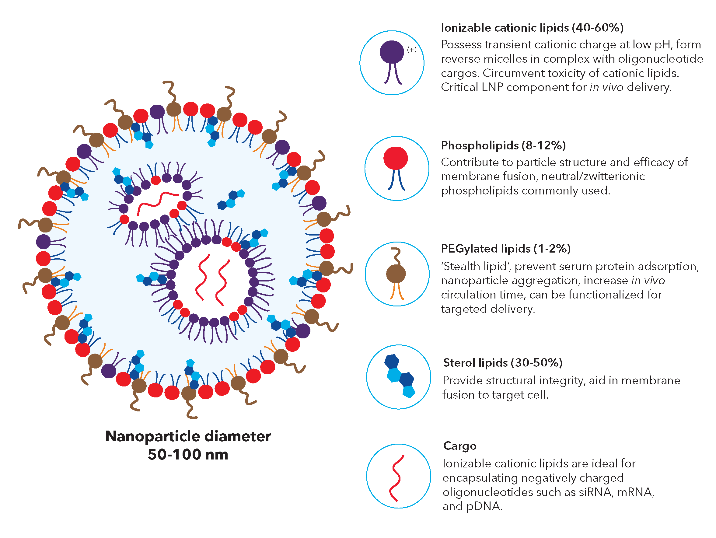 Lipid Nanoparticles (LNPs) | Gene Delivery | Tocris Bioscience