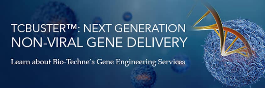 TcBuster gene engineering system banner